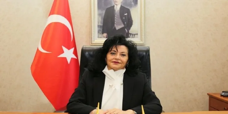 Muğla Valisi Cumhurbaşkanı Başdanışmanı olarak atandı