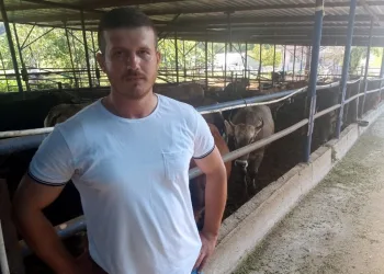 5 hi̇be düveyle başladı, çi̇ftli̇k sahi̇bi̇ oldu