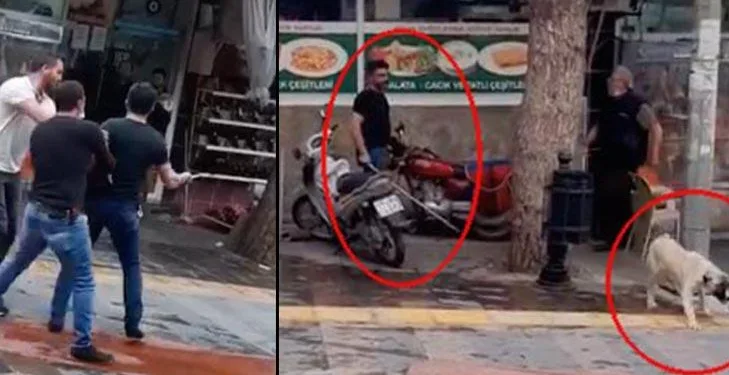 Köpeği sopayla dövdü, kasabın üzerine bıçakla yürüdü!