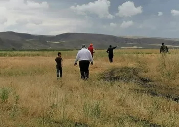 Çorum Valisi’nden aslan açıklaması