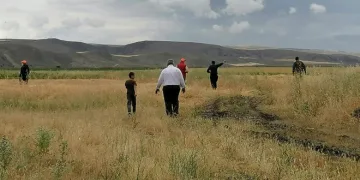 Çorum Valisi’nden aslan açıklaması