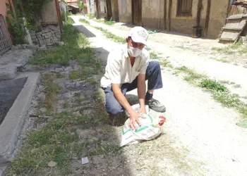 İlginç bir kümes hayvanı kesim usulü