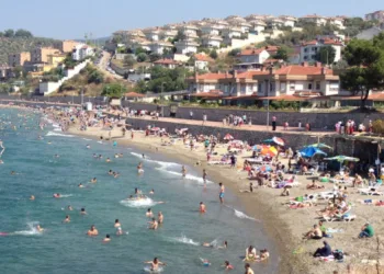 Bursa sahillerinden alınan numune sonuçları belli oldu!