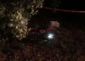 Bursa’da domuza çarpan sürücü hayatını kaybetti