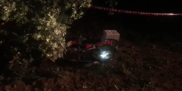 Bursa’da domuza çarpan sürücü hayatını kaybetti