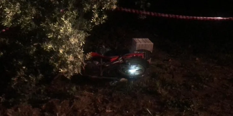 Bursa’da domuza çarpan sürücü hayatını kaybetti