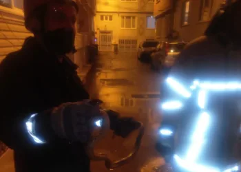 Bursa’da yılan paniği! Eve tırmanırken yakalandı