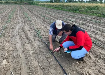 Mustafakemalpaşa’da çiftçiye destek hız kazandı