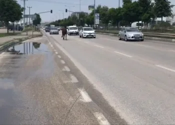 Bursa’da trafikte başıboş at paniği