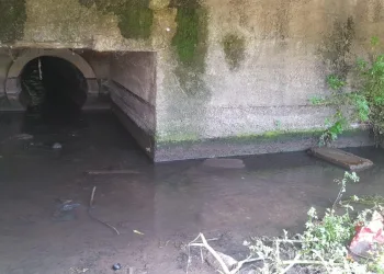 Bursa’da korkutan çevre görüntüsü!
