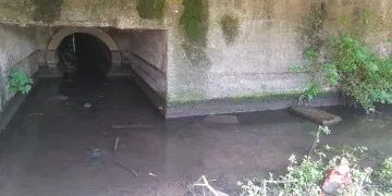 Bursa’da korkutan çevre görüntüsü!