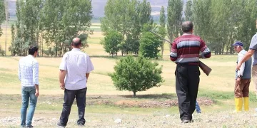 Çorum’da aslan paniği… Ellerde tüfek, aslan arıyorlar!