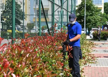 Osmangazi’de hedef ‘Daha Yeşil Bursa’