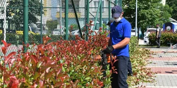 Osmangazi’de hedef ‘Daha Yeşil Bursa’