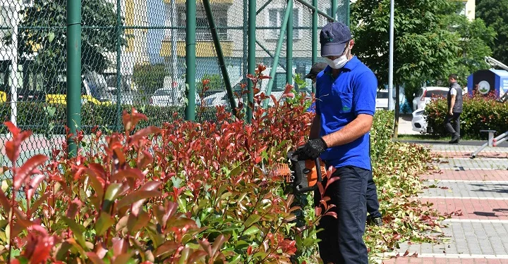 Osmangazi’de hedef ‘Daha Yeşil Bursa’