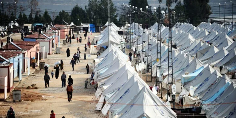 Dünyada en çok mülteciyi Türkiye barındırıyor