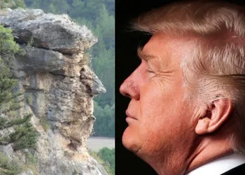 Silifkeli Trump’a yoğun ilgi