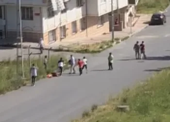 Sokak ortasında kadın cinayeti! Pompalı silahla öldürüldü
