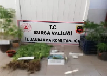 Bursa Jandarması’ndan uyuşturucuya geçi̇t yok