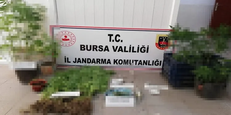 Bursa Jandarması’ndan uyuşturucuya geçi̇t yok