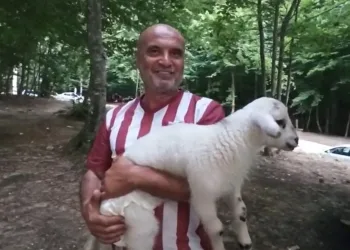 Annesinin dışladığı kuzuya gözü gibi bakıyor