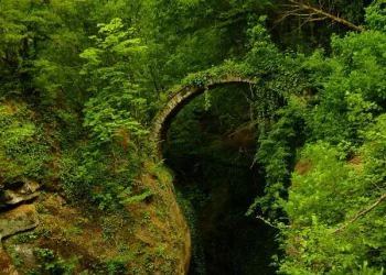 Artvin’de, tarihi kemer köprü keşfedildi