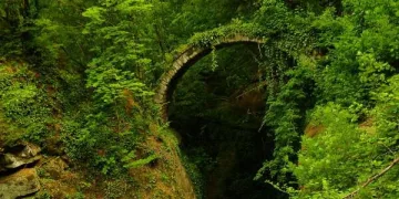 Artvin’de, tarihi kemer köprü keşfedildi