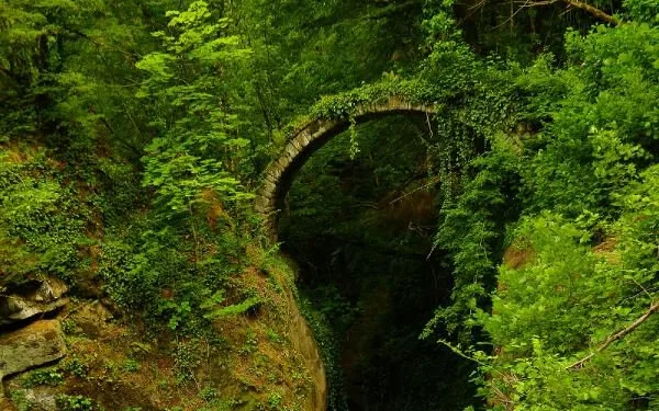 Artvin’de, tarihi kemer köprü keşfedildi
