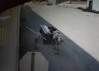 Bursa’daki at arabalı hırsız kameralara yakalandı