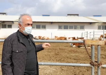 Atatürk Üni̇versi̇tesi̇nden Gıda Ve Hayvancılığa Bi̇li̇msel Yaklaşım