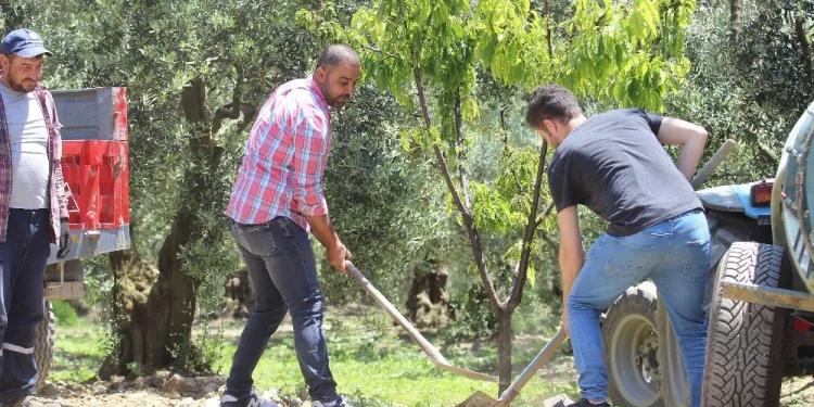 Bursa’daki bu köy kendi işini kendi hallediyor