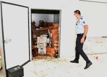Ceset sandılar, bozuk peynir çıktı