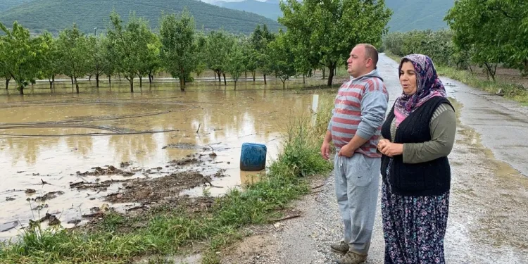 Bursa’da binlerce dönüm tarım arazisi sular altına kaldı