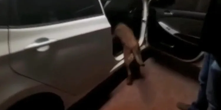 İran’dan Bursa’ya uyuşturucu ticareti için geldiler! Yakalandılar