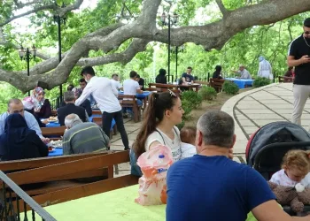610 yıllık İnkaya Çınarı ziyarete açıldı