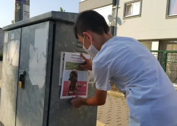 Çalınan köpeğini bastırdığı afişlerle arıyor
