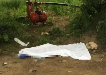 Bursa’da çalışmaya gittiği tarlasında ölü bulundu