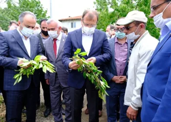 Hakan Çavuşoğlu, doludan etkilenen çi̇ftçi̇ni̇n yanında