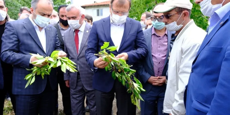 Hakan Çavuşoğlu, doludan etkilenen çi̇ftçi̇ni̇n yanında