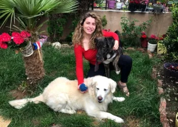 Ünlü oyuncunun köpeklerine çivili kemik attılar