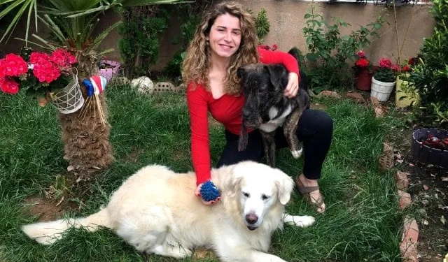Ünlü oyuncunun köpeklerine çivili kemik attılar