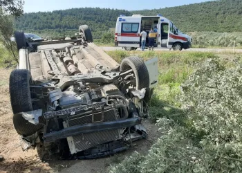 Bursa’da kaza: Zeytinliğe uçtu