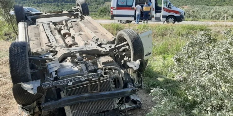 Bursa’da kaza: Zeytinliğe uçtu