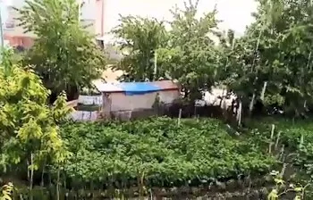 Bursa’da dolu yine çiftçiyi vurdu