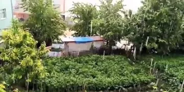 Bursa’da dolu yine çiftçiyi vurdu