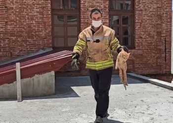 Bursa’da ekipler onun için seferber oldu