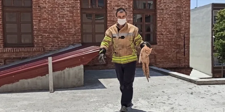Bursa’da ekipler onun için seferber oldu