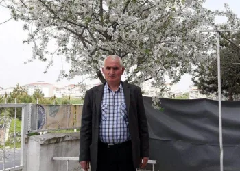 Erik topladığı ağaçtan düşerek öldü