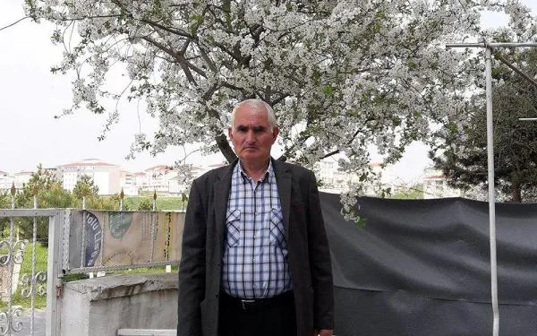 Erik topladığı ağaçtan düşerek öldü