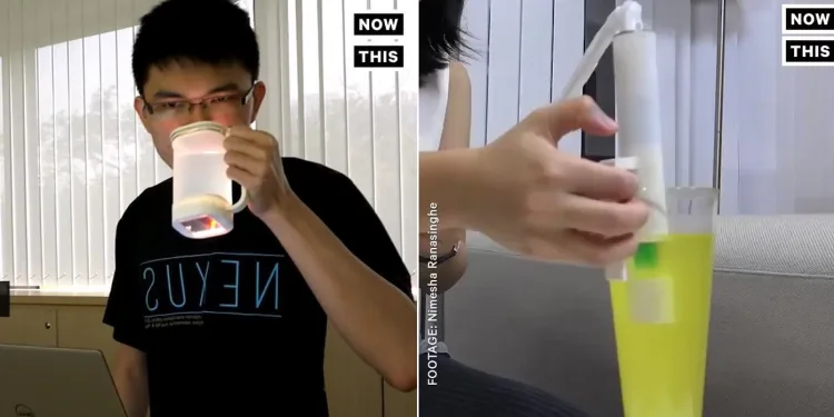 Bu da oldu! İnternet üzerinden limonata yollamayı başardılar